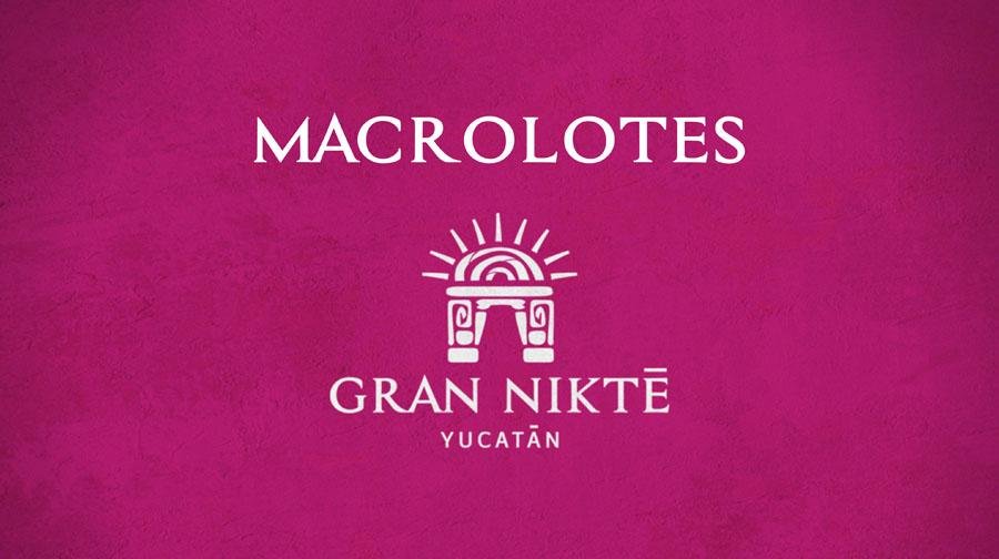 Macrolote en Gran Nikte